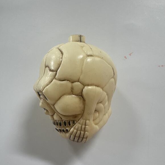 19 Vintage Halloween Skull Plastic Blow Molds String Light Covers NO LIGHTS - Picture 4 of 11